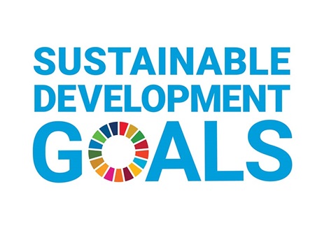 UN Sustainability goals